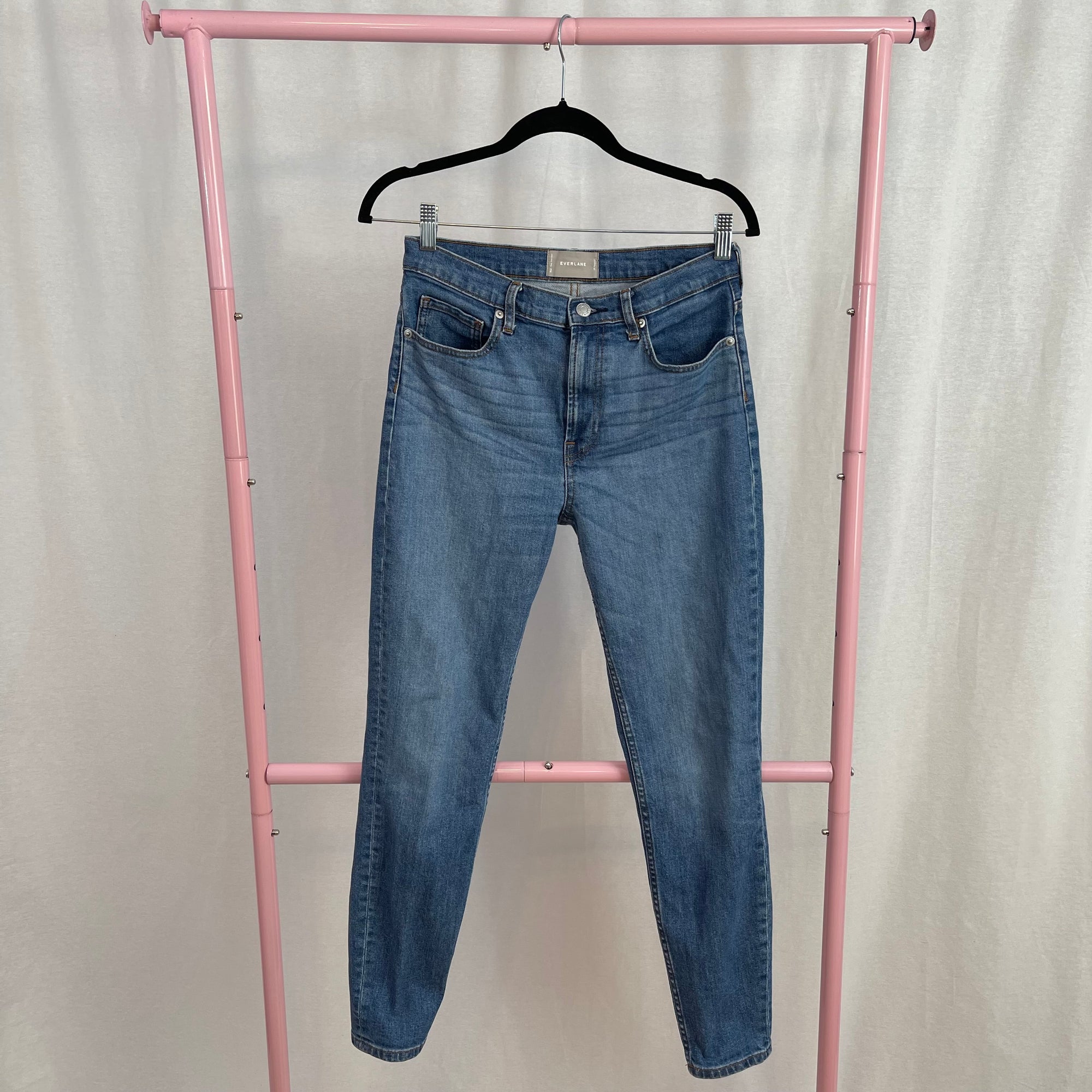 Everlane Medium Wash High Rise Skinny Jeans size 29